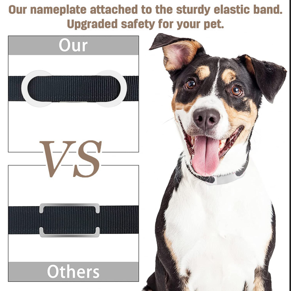 Personalized Dog Tag for Pets - Engraved Dog Name Tag - Slide On Cat ID Tags