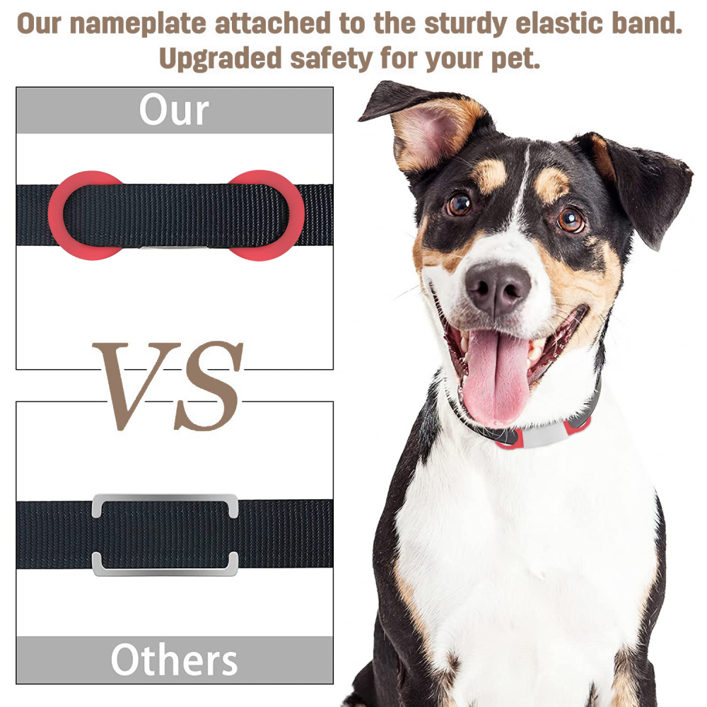 Personalized Pet Dog Tag - Silvery Background 2 Sizes - Total