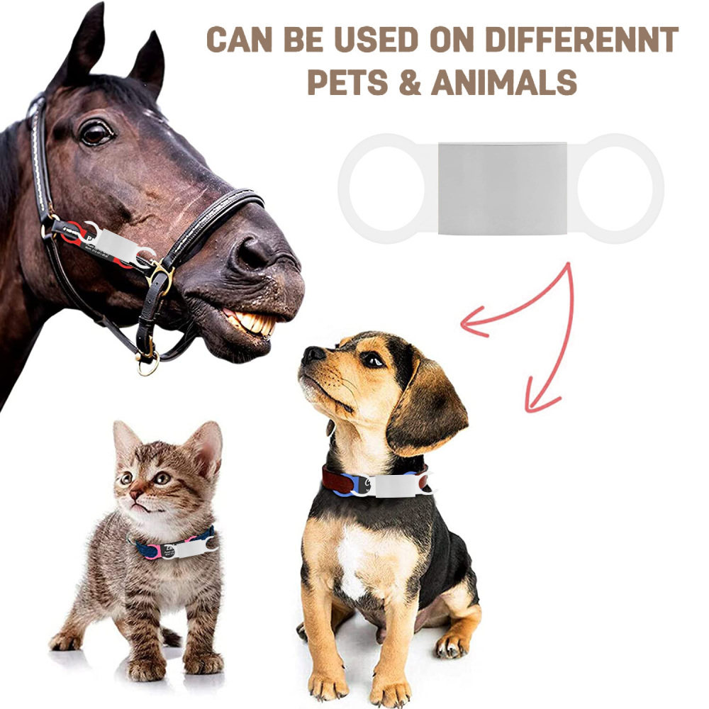Personalized Dog Tag for Pets - Engraved Dog Name Tag - Slide On Cat ID Tags