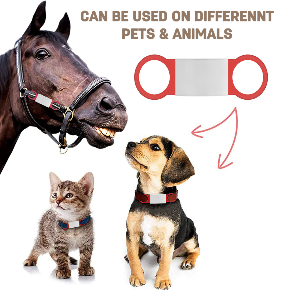 Personalized Pet Dog Tag - Silvery Background 2 Sizes - Total