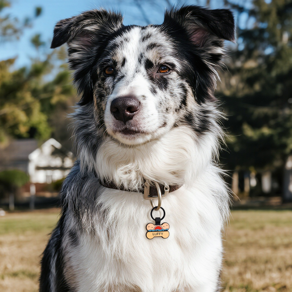 Forest Sunrise Silicone Bone Pet ID Tag – Personalized Name & Phone Pet Safety Collar Tag