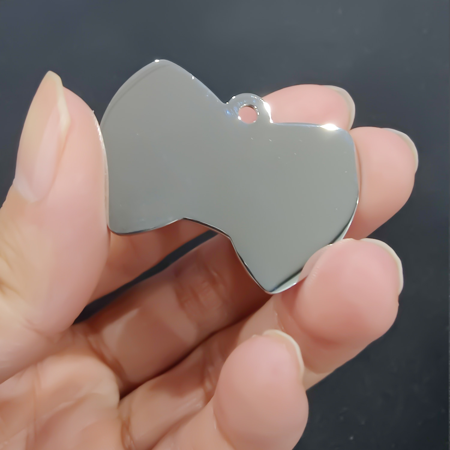 Stainless Steel Pet Tag - Bone