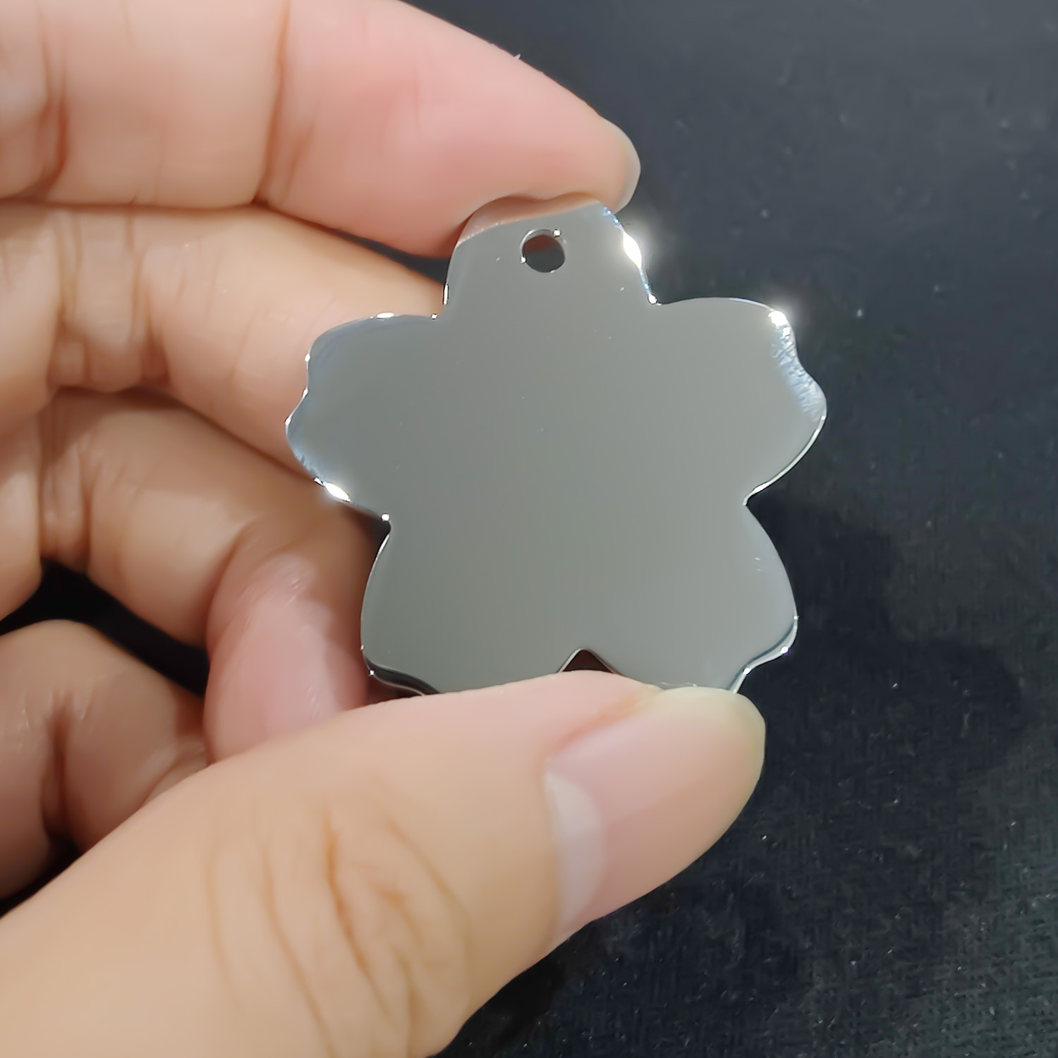 Stainless Steel Pet Tag - Bone