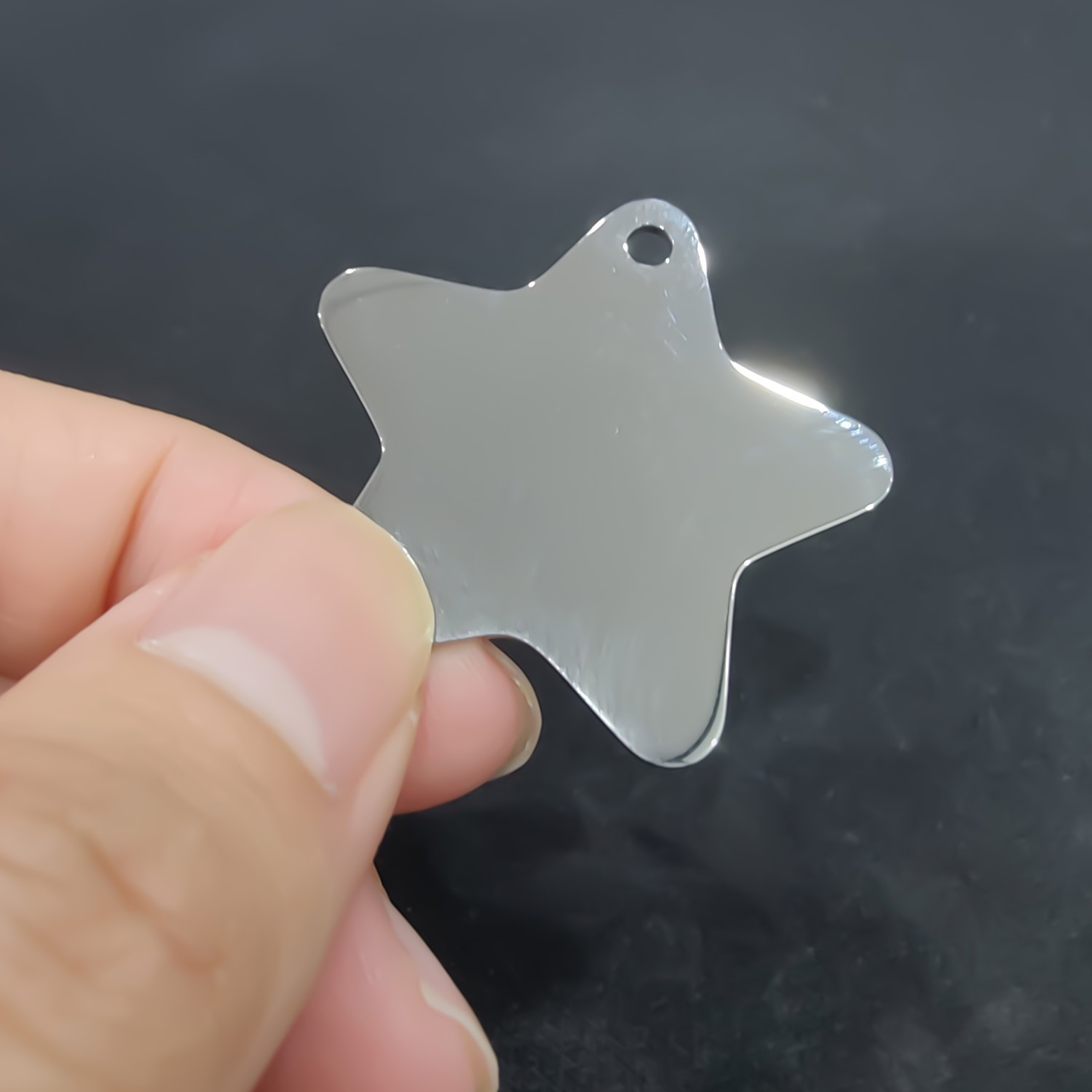Stainless Steel Pet Tag - Bone