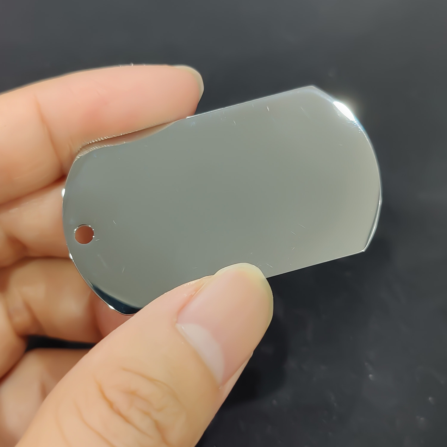 Stainless Steel Pet Tag - Bone