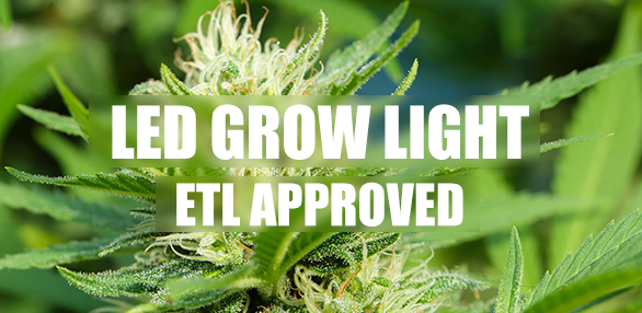 Plant Growing Light's ETL Certificate appproved
