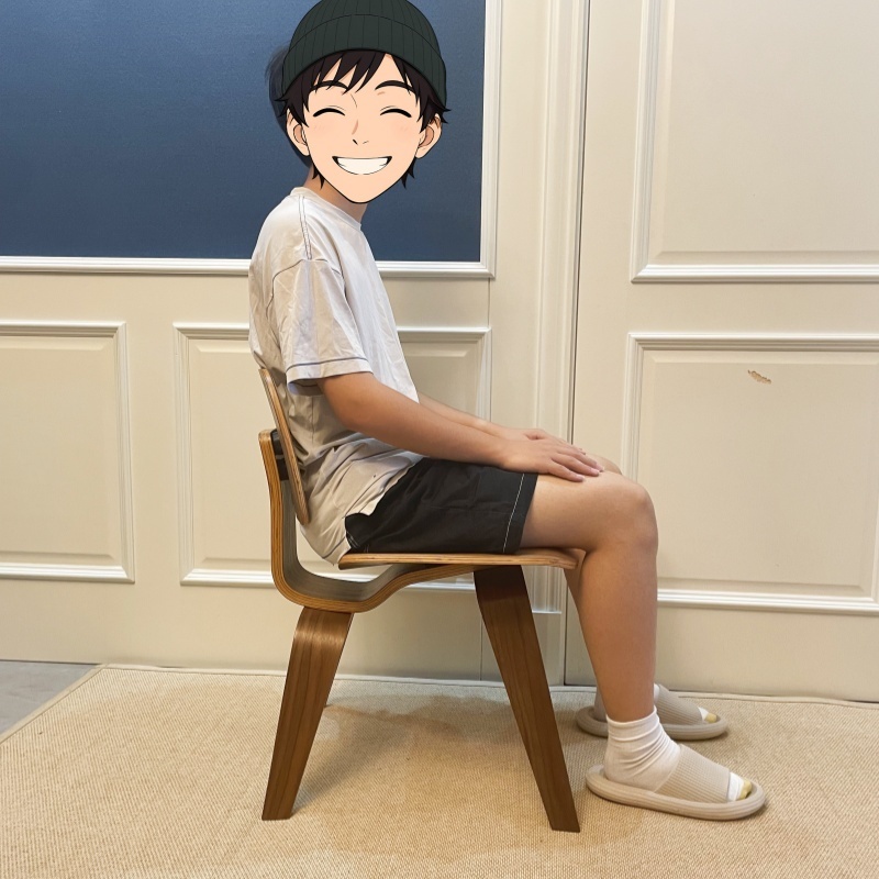 Mid-Century Replica Eames Dining Chair – Molded Plywood & Wood Base