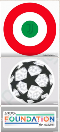 Italy circle + Champions Ball + Uefa Foundation