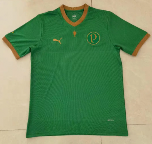 2021/22 Green Thailand Soccer Jersey AAA-222