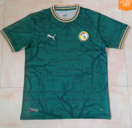 2021/22 Senegal Green Thailand Soccer Jersey AAA-709