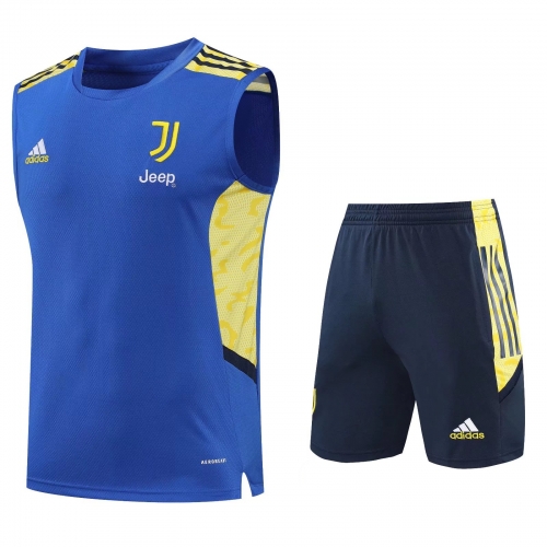 2021-22 Juventus Cai Blue Thailand Soccer Training Jersey Uniform Vest-418