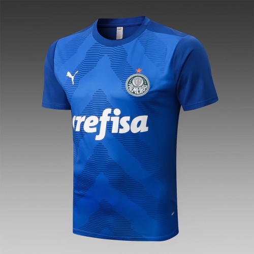 2022/23 SE Palmeiras Blue Shorts-Sleeve Thailand Soccer Tracksuit-815