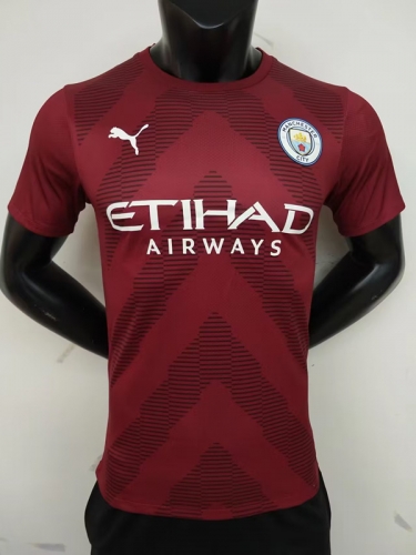Player Version 2022/23 Manchester City Goalkeeper MaroonThailand soccer jersey AAA-MY