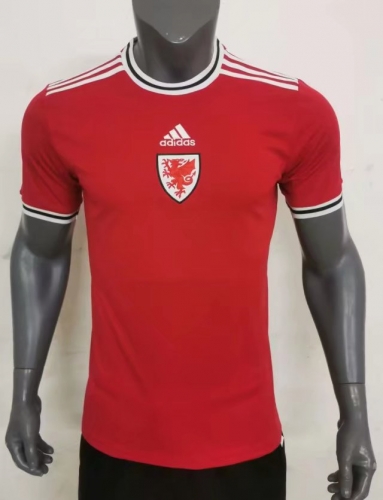 2022-23 Wales Home Red Thailand Soccer Jersey AAA-07/416