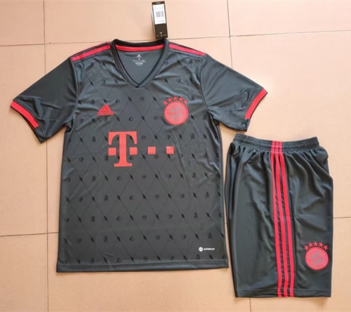 2022/23 Bayern München 2nd Away Gray Soccer Uniform-KS/315