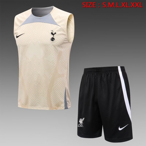 2022-23 Tottenham Hotspur Yellow Shorts-sleeve Thailand Soccer Tracksuit Uniform-815