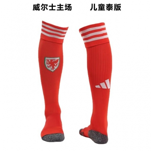 2022/23 Wales Home Red Thailand Soccer Socks