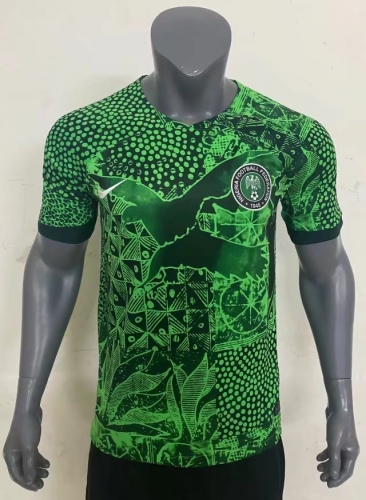 2022 World Cup Nigeria Home Green Soccer Thailand Jersey AAAA-407/416/709