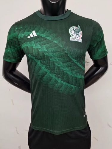Player Version 2022 World Cup Mexico Green Training Thailand Soccer Jersey AAA-MY