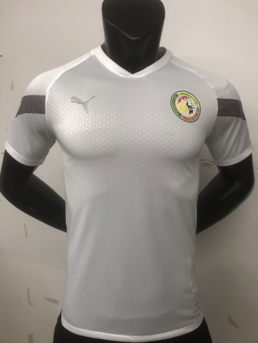 Player Version 2022/23 Senegal White Traning Thailand Soccer Jersey AAA-MY