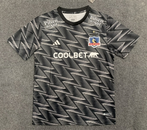 With Adv 2022/23 Colo-Colo Gray Thailand Soccer Jersey AAA-1095/JM