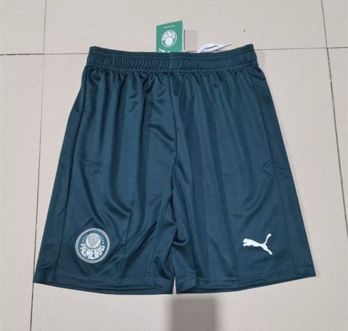 2023/24 Palmeiras Away Green Thailand Soccer Shorts-315