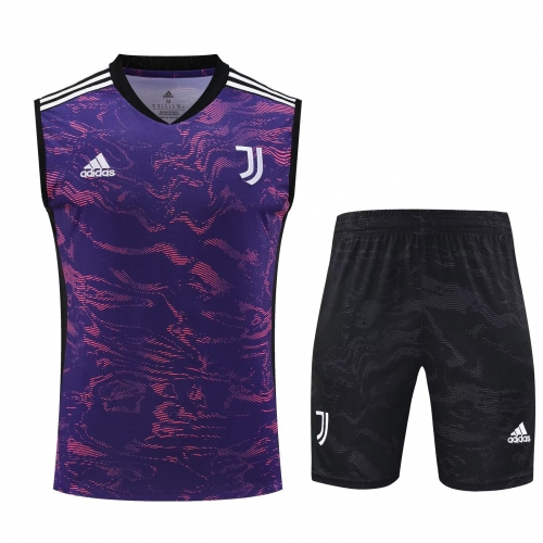 2023/24 Juventus Purple Thailand Soccer Training Jersey Uniform-418