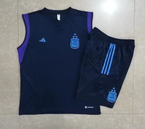 2023/24 Argentina Royal Blue Shorts-Sleeve Thailand Soccer Uniform-815