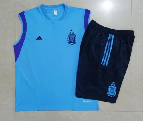 2023/24 Argentina Blue Shorts Sleeve Thailand Soccer Tracksuit Uniform-815