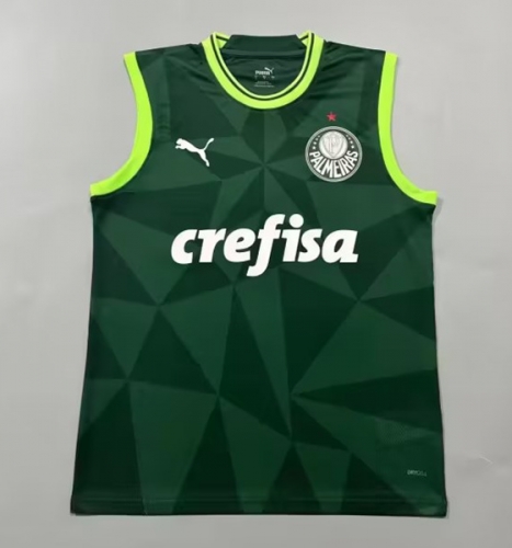 2023/24 Palmeiras Green Thailand Soccer Vest-908