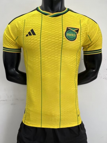 Player Version 2023/24 Jamaica Home Yellow Thailand Soccer Jersey AAA-16