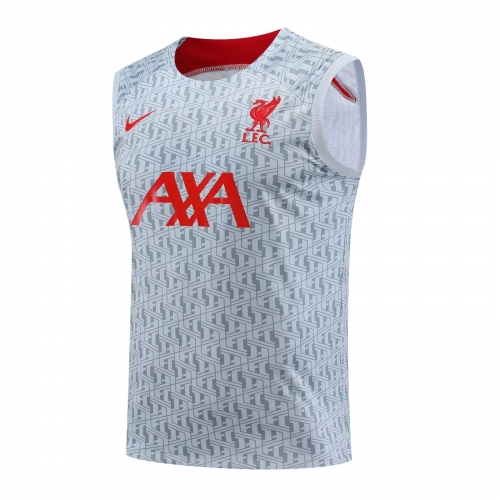 2023/24 Liverpool Gray & White Thailand Soccer Training Jerseys-418