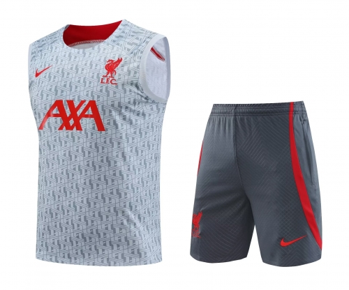 2023/24 Liverpool Gray & White Thailand Soccer Training Uniform-418