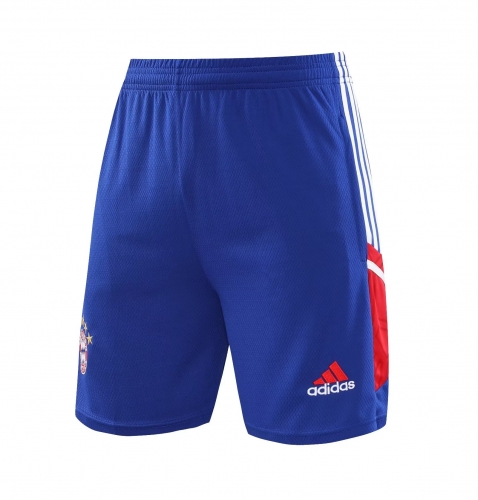 2023/24 Bayern München Cai Blue Thailand Soccer Training Shorts-418