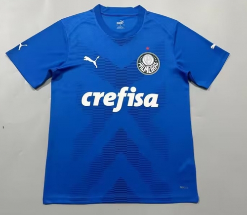 2023/24 Palmeiras Goalkeeper Blue Thailand Soccer Jersey AAA-908