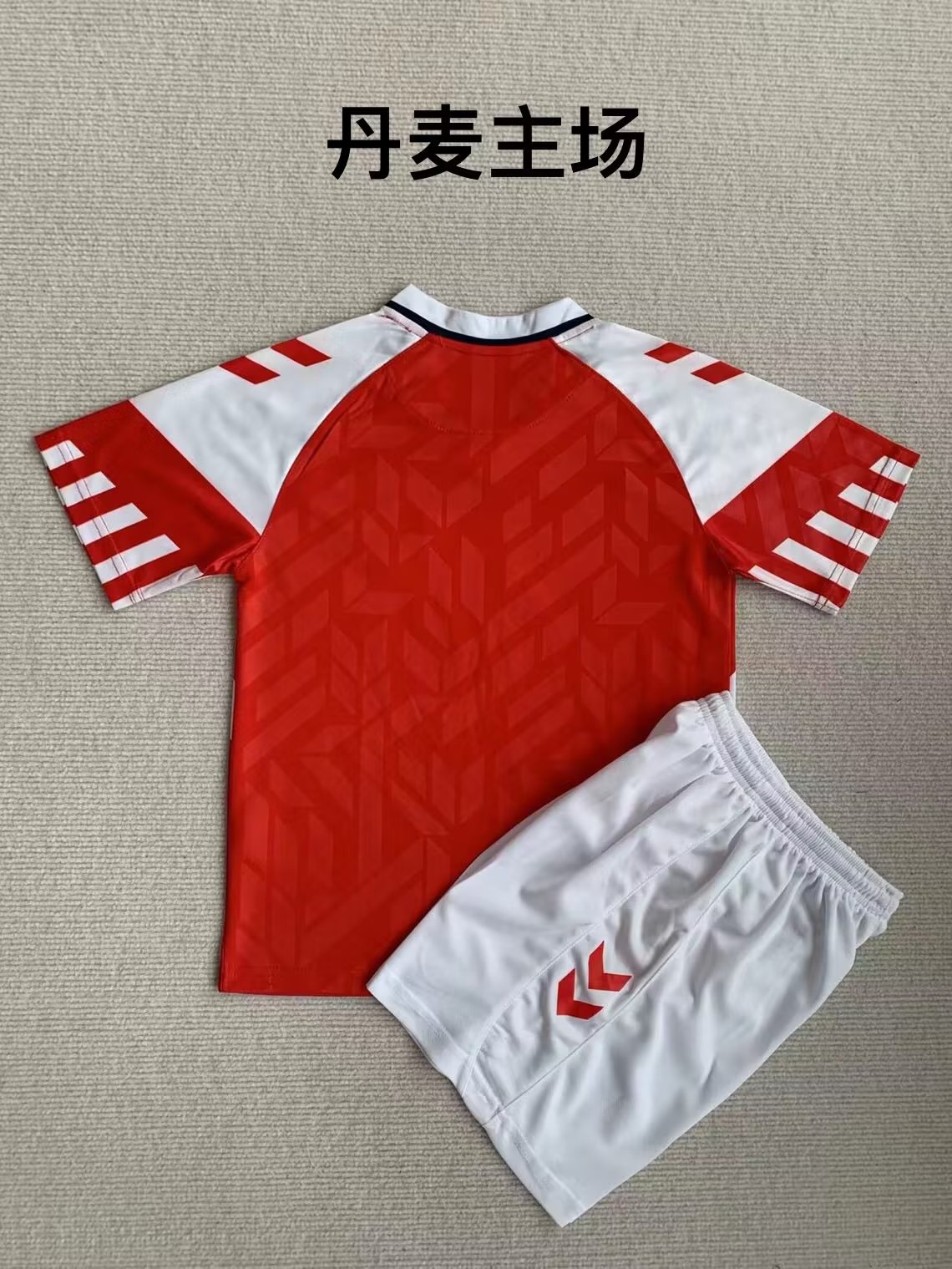 Kids 2023/24 Denmark Home Red Kids/Youth Soccer Uniform208