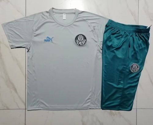 2023/24 SE Palmeiras Gray Shorts-Sleeve Thailand Soccer Tracksuit Uniform-815