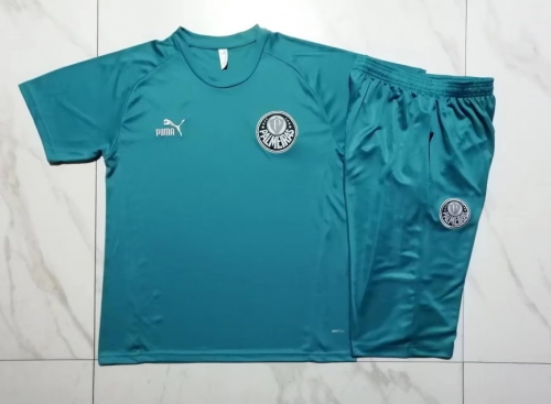 2023/24 SE Palmeiras Green Shorts-Sleeve Thailand Soccer Tracksuit Uniform-815
