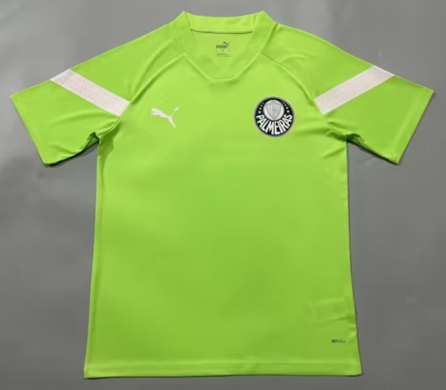 2023/24 SE Palmeiras Green Thailand Soccer Training Jersey-908