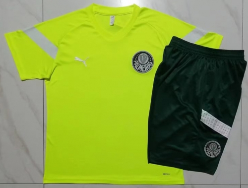 2023/24 SE Palmeiras Fluorescent green Shorts-Sleeve Thailand Soccer Tracksuit Uniform-815