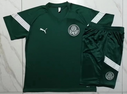 2023/24 SE Palmeiras Green Shorts-Sleeve Thailand Soccer Tracksuit Uniform-815