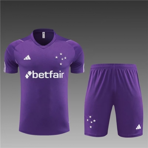2023/24 Cruzeiro EC Purple Shorts-Sleeve Thailand Soccer Uniform-801