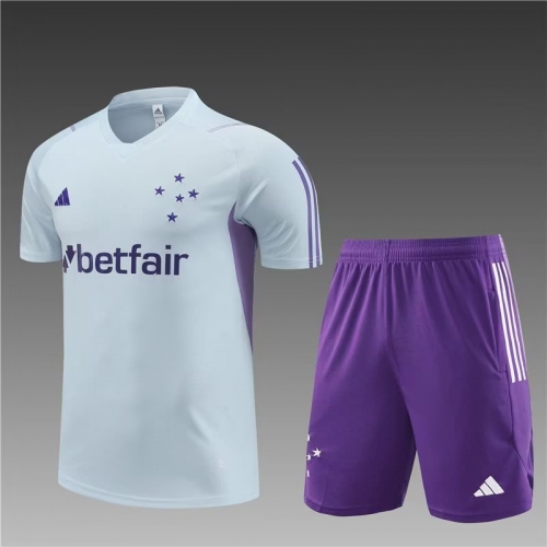 2023/24 Cruzeiro EC Gray Shorts-Sleeve Thailand Soccer Uniform-801