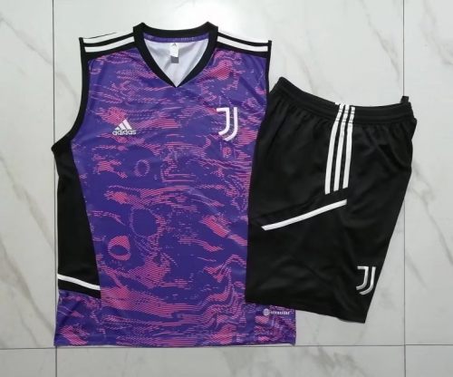 2023/24 Juventus Purple Shorts-Sleeve Thailand Soccer Uniform-815