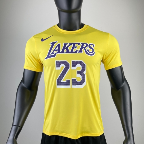 2022/23 NBA Los Angeles Lakers #23 Yellow Quick Dry Shirts-311