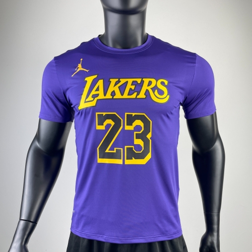 2022/23 NBA Los Angeles Lakers #23 Purple Quick Dry Shirts-311