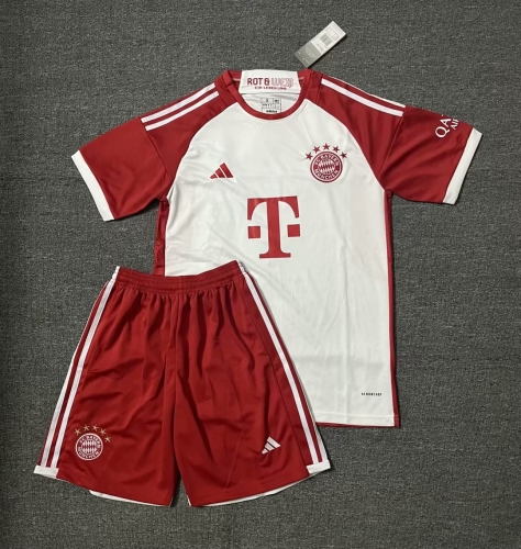 2023/24 Bayern München Red Soccer Uniform-315/516/36