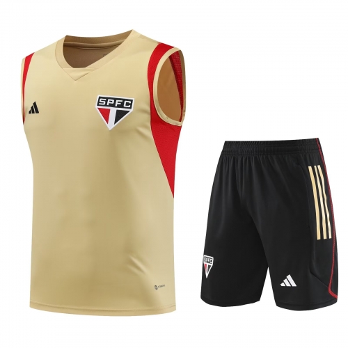 2023/24 São Paulo FC Yellow Training Thailand Soccer Jersey AAA-418