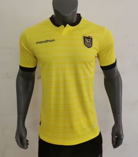 2023/24 Ecuador Home Yellow Thailand Soccer Jersey AAA-709/416
