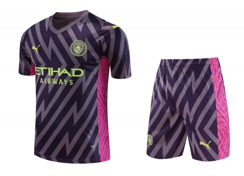 2023/24 Manchester City Goalkeeper Purple Thailand Soccer Unifrom-418